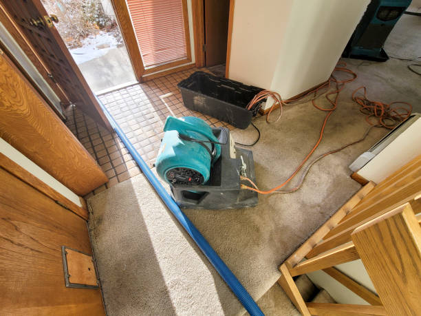 Best Water damage mitigation services  in Lowell, MI
