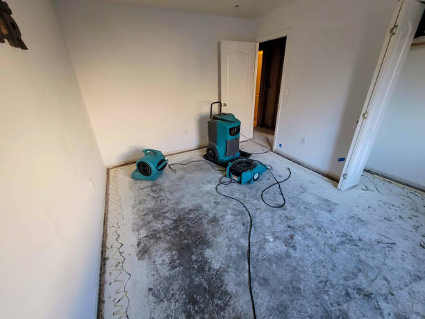 Best Carpet water damage restoration  in Lowell, MI