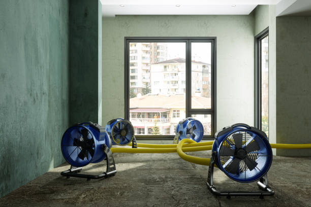 Best Ceiling water damage repair  in Lowell, MI